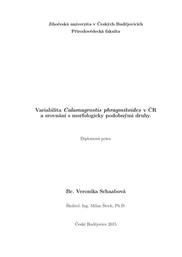 Variabilita Calamagrostis Phragmitoides V ČR a Srovnání S Morfologicky Podobnými Druhy