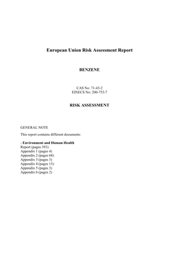 European Union Risk Assessment Report