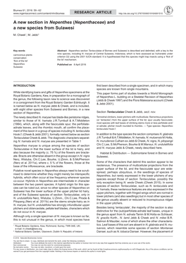 A New Section in Nepenthes (Nepenthaceae) and a New Species from Sulawesi