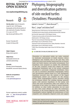 Phylogeny, Biogeography and Diversification Patterns of Side