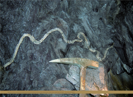 Folded Band of Coticula, an Extremely Fine-Grained Garnet-Bearing Whetstone of the Ordovician Salm Group