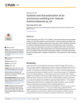 Isolation and Characterization of an Ammonium-Oxidizing Iron Reducer: Acidimicrobiaceae Sp. A6