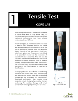 Tensile Testing (Fig