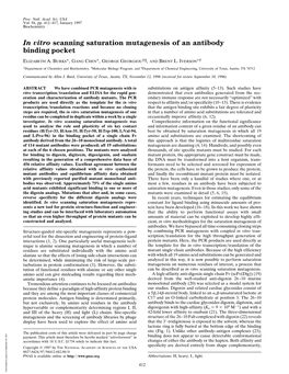 In Vitro Scanning Saturation Mutagenesis of an Antibody Binding Pocket