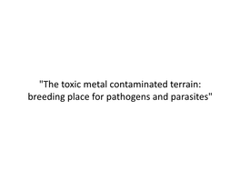 "The Toxic Metal Contaminated Terrain: Breeding Place for Pathogens and Parasites" Symptoms of the 2013 Patient