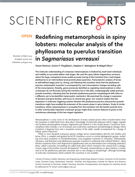 Redefining Metamorphosis in Spiny Lobsters: Molecular Analysis of the Phyllosoma to Puerulus Transition in Sagmariasus Verreauxi