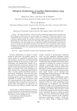 Biological Identifications of Mayflies (Ephemeroptera)