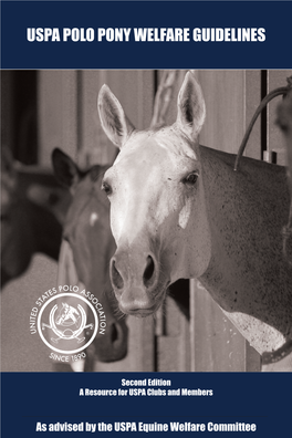 Equine Welfare Guidelines