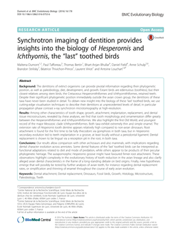 Synchrotron Imaging of Dentition Provides Insights