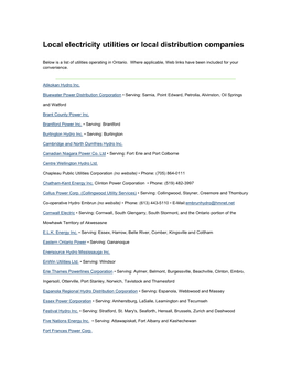 Local Electricity Utilities Or Local Distribution Companies