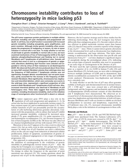 Chromosome Instability Contributes to Loss of Heterozygosity in Mice Lacking P53