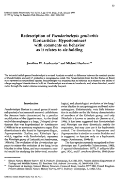 Redescription of Pseudorinelepis Genibarbis (Loricariidae: Hypostominae) with Comments on Behavior As It Relates to Air-Holding