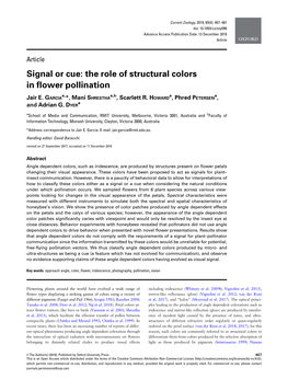 Signal Or Cue: the Role of Structural Colors in Flower Pollination