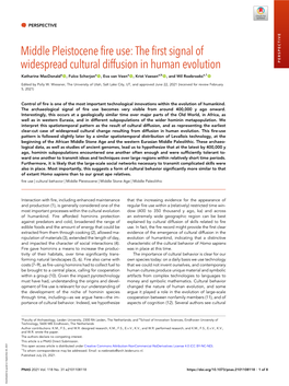 The First Signal of Widespread Cultural Diffusion in Human Evolution