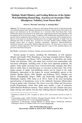 Multiple Model Mimicry and Feeding Behavior of the Spider Web-Inhabiting Damsel Bug, Arachnocoris Berytoides Uhler (Hemiptera: Nabidae), from Puerto Rico1