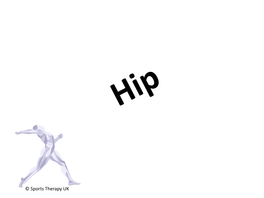 Hip-Joint-Muscles.Pdf