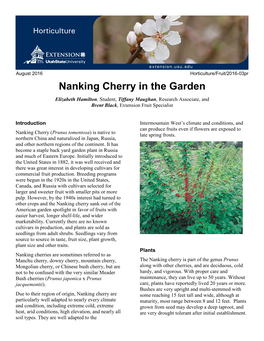 Nanking Cherry in the Garden Elizabeth Hamilton, Student, Tiffany Maughan, Research Associate, and Brent Black, Extension Fruit Specialist