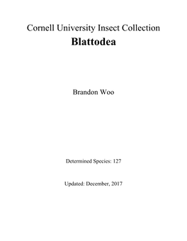CUIC Blattodea List