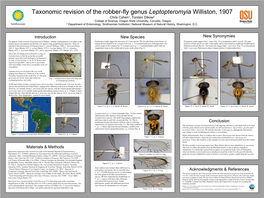 Taxonomic Revision of the Robber-Fly Genus Leptopteromyia Williston, 1907