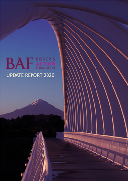 Update Report 2020