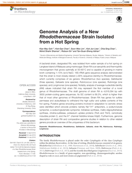 Genome Analysis of a New Rhodothermaceae Strain Isolated from a Hot Spring