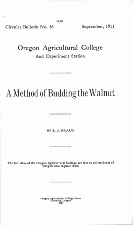 A Method of Budding the Walnut