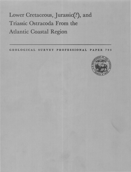 Lower Cretaceous, Jurassic(?), and Triassic Ostracoda from the Atlantic Coastal Region