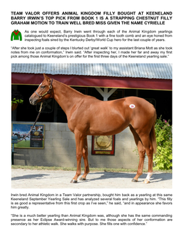 Team Valor Offers Animal Kingdom Filly Bought At