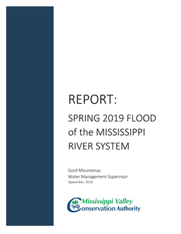 Spring 2019 Mississippi River Flood