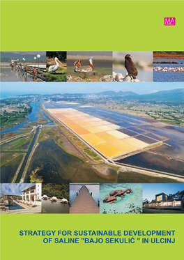 Strategy for Sustainable Development of Saline "Bajo Sekulić" Ulcinj