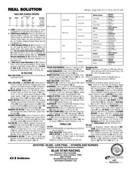 REAL SOLUTION 2009 Bay - Dosage Profile: 8-11-17-2-0; DI: 2.62; CD: +0.66