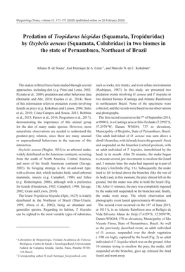 Predation of Tropidurus Hispidus (Squamata, Tropiduridae) by Oxybelis Aeneus (Squamata, Colubridae) in Two Biomes in the State of Pernambuco, Northeast of Brazil