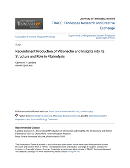 Recombinant Production of Vitronectin and Insights Into Its Structure and Role in Fibrinolysis