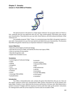 Chapter 7: Genetics Lesson 1: from DNA to Proteins