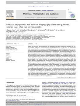 Molecular Phylogenetics and Historical Biogeography of the West-Palearctic Common Toads (Bufo Bufo Species Complex)