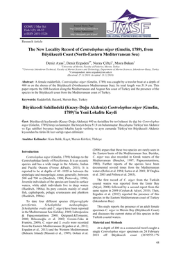 The New Locality Record of Centrolophus Niger (Gmelin, 1789), from Büyükeceli Coast (North-Eastern Mediterranean Sea)