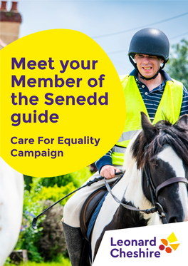 Meet Your Member of the Senedd Guide