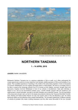 Northern Tanzania