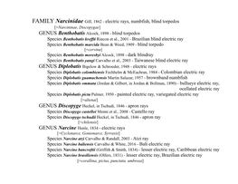 FAMILY Narcinidae Gill, 1862