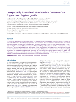 Unexpectedly Streamlined Mitochondrial Genome of the Euglenozoan Euglena Gracilis