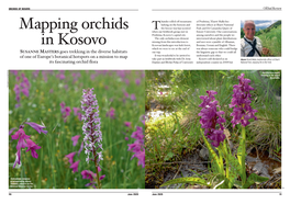 Mapping Orchids in Kosovo