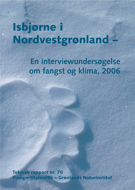 Isbjørne I Nordvestgrønland –