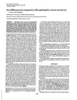 Sex Differences in Cooperative Silk-Spinning by Weaver Ant Larvae (Ant Caste Systems/Silk Glands) EDWARD 0