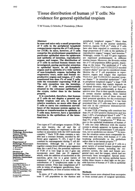 Tissue Distributionof Human Y$ T Cells: No