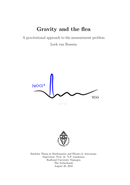 Gravity and the Flea 5.1