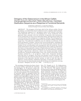 Ontogeny of the Osteocranium in the African Catfish, Clarias