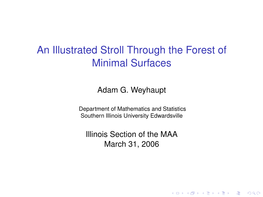 An Illustrated Stroll Through the Forest of Minimal Surfaces