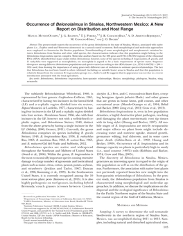 Occurrence of Belonolaimus in Sinaloa, Northwestern Mexico: a New Report on Distribution and Host Range