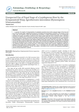 Unexpected Use of Pupal Stage of a Lepidopteran Host by the Ectoparasitoid Wasp Agrothereutes Lanceolatus (Hymenoptera: Ichneumonidae) Takatoshi Ueno*