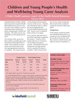 Carers Analysis Report